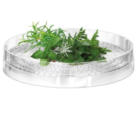 MPM Product SUSZ DO GRZYB MSG-11 MPM - 1269412 - zdjęcie 4